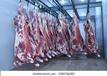 Reta encara la temporada con foco en la mejora de servicios y el mantenimiento de infraestructura