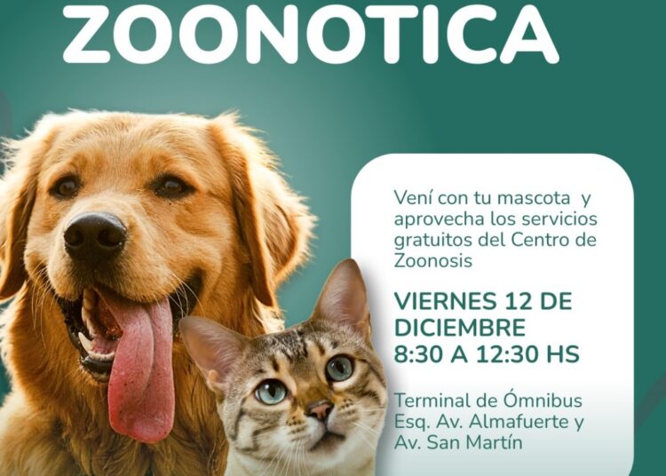 Refuerzan la salud pública: Gran campaña zoonótica y antirrábica gratuita en Tres Arroyos