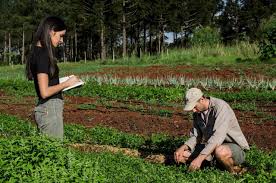Altas temperaturas y cosecha: balance positivo y advertencias por incendios en la región