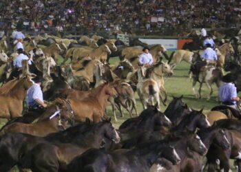 Matías Di Noyo, presente en Jesús María: trabajo, tradición y orgullo regional