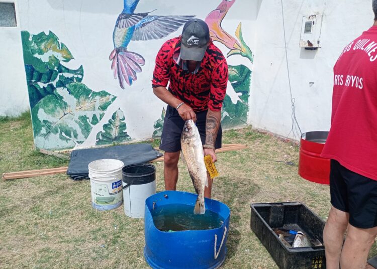 1302 cañas marcan un gran crecimiento para el concurso del club Quilmes