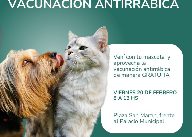 Salud pública: realizarán una jornada de vacunación antirrábica gratuita en Plaza San Martín