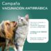 Salud pública: realizarán una jornada de vacunación antirrábica gratuita en Plaza San Martín