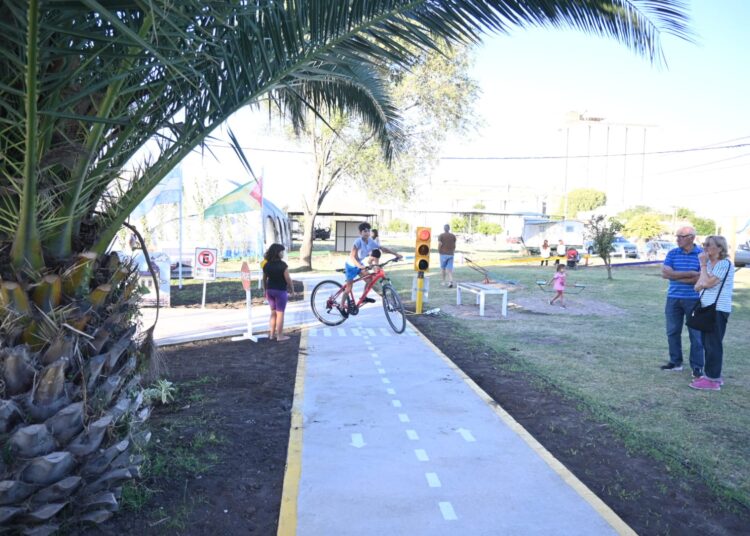 «Al colegio bien pitucos»: Jornada solidaria de cortes de cabello gratuitos para el inicio de clases