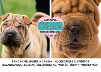 El legado del Shar Pei