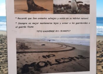 El Ente Descentralizado de Claromecó recibió cartelería para el cuidado de la fauna en la playa