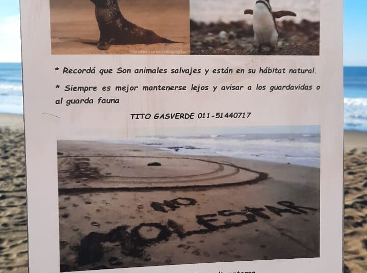 El Ente Descentralizado de Claromecó recibió cartelería para el cuidado de la fauna en la playa