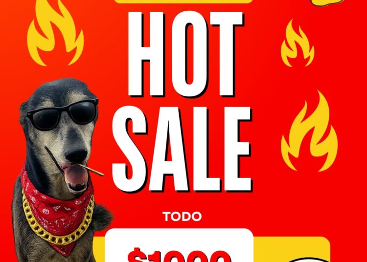 Liquidación total a beneficio de los animales: PACMA lanza un «Hot Sale» solidario en su feria de ropa