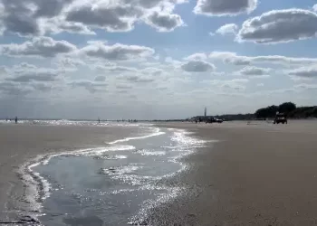 AVIC impulsa una charla frente al mar con degustación solidaria a beneficio del Jardín 921