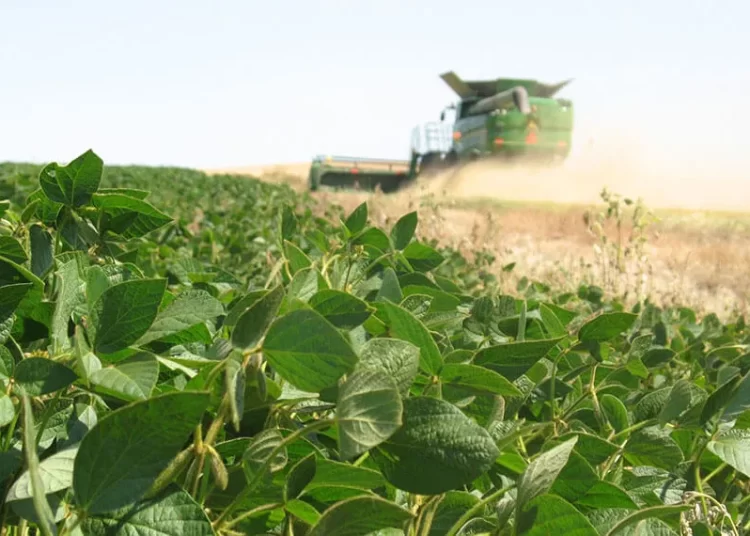 Un informe del INTA San Pedro determinó que enero de 2026 fue el más seco de los últimos 60 años