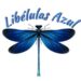 Libélulas Azul relanza su trabajo solidario tras el hackeo de sus redes