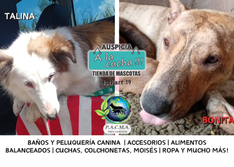 No compres un amigo, rescata una historia