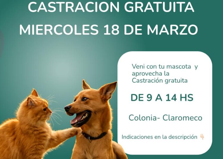 Jornada de castraciones gratuitas para canes y felinos en Claromeco