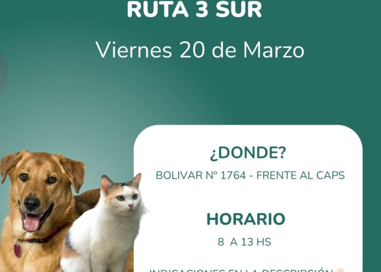 Salud y transporte: anuncian la primera jornada de desinfección de remises