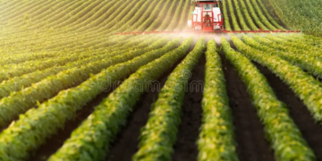 El Ministerio de Desarrollo Agrario brindará capacitaciones sobre agroquímicos en la Fiesta del Trigo