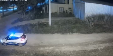 Vandalismo contra una patrulla municipal: el Municipio sancionará económicamente a los padres del autor