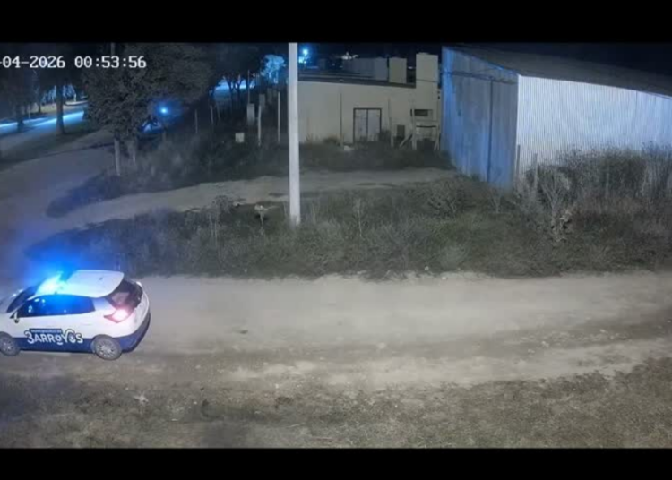 Vandalismo contra una patrulla municipal: el Municipio sancionará económicamente a los padres del autor