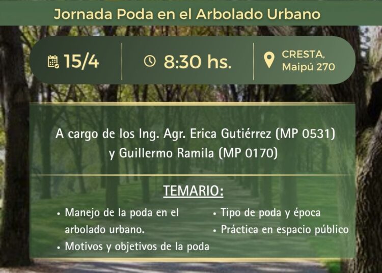 Tres Arroyos pone en marcha la ilusión: abren las inscripciones para los Juegos Bonaerenses 2026