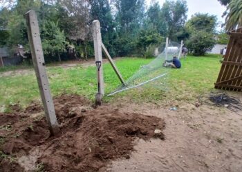 El Consejo Escolar fortalece el trabajo conjunto para mejorar la seguridad en las escuelas
