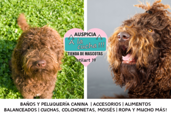 El Barbet y su ancestral maestría en las aguas