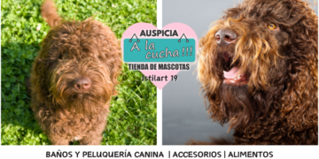 El Barbet y su ancestral maestría en las aguas