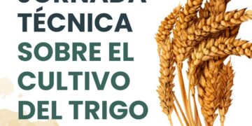 La ruta del trigo inicia su ciclo estratégico con una fuerte apuesta a la innovación genética