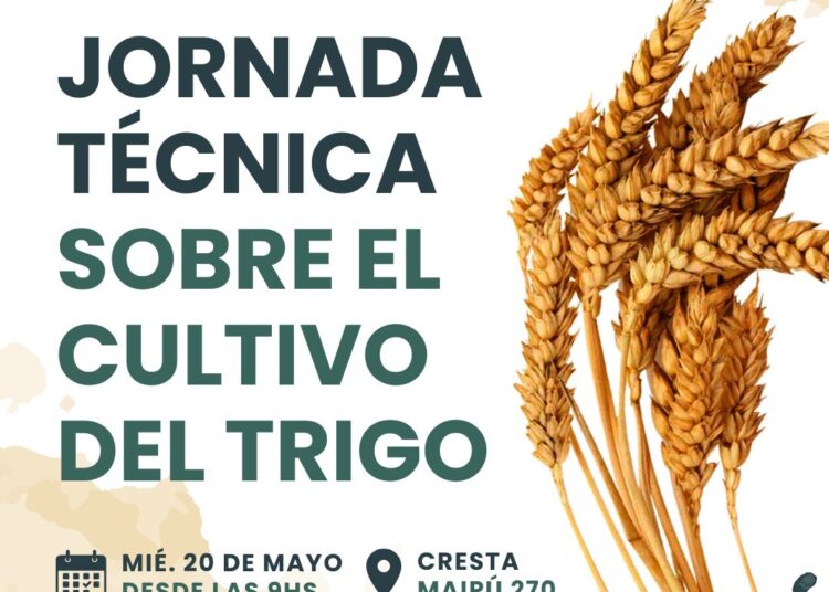 La ruta del trigo inicia su ciclo estratégico con una fuerte apuesta a la innovación genética
