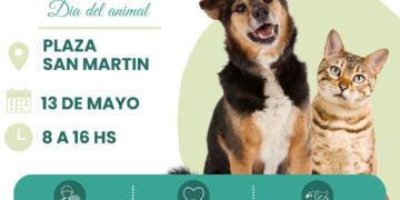 Tres Arroyos refuerza la sanidad animal con un histórico despliegue de castración masiva