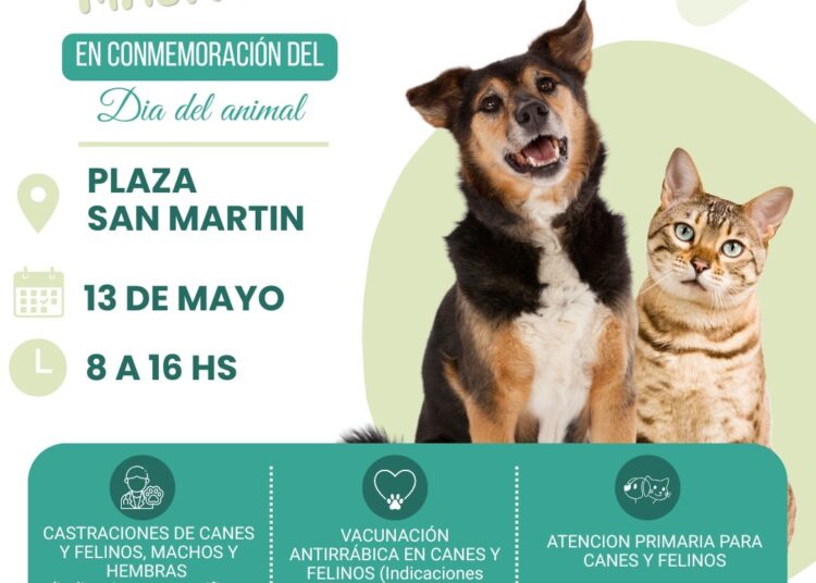 Tres Arroyos refuerza la sanidad animal con un histórico despliegue de castración masiva