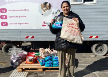 Éxito rotundo en el operativo sanitario con medio centenar de castraciones en Plaza San Martín