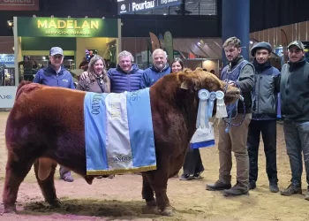 Cabaña Santa Rosa volvió a destacarse en la Expo Angus con el Gran Campeón Macho Colorado