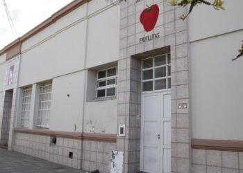 “Hay una gran demanda de bebés”: preocupación en los Frutillitas por el aumento de niños menores de un año