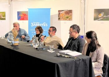 El trigo como raíz identitaria: exitoso balance del conversatorio histórico que reunió a especialistas en el Museo Mulazzi