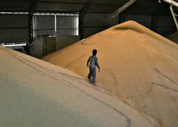 Oficializan la reducción de las retenciones para el agro y los biocombustibles