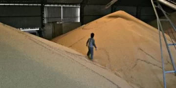 Oficializan la reducción de las retenciones para el agro y los biocombustibles