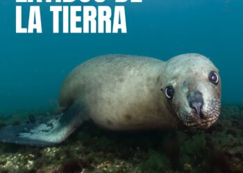 El arte como espejo ambiental: el Museo Mulazzi inaugura la muestra fotográfica «Latidos de la tierra»