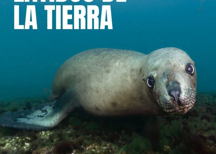 El arte como espejo ambiental: el Museo Mulazzi inaugura la muestra fotográfica «Latidos de la tierra»