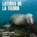 El arte como espejo ambiental: el Museo Mulazzi inaugura la muestra fotográfica «Latidos de la tierra»