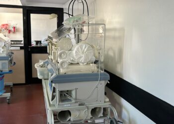 Salud digital en debate: alertan sobre los riesgos de la exposición temprana a redes sociales y juegos virtuales