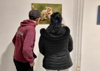 La mirada ambiental llega al lente: la Escuela de Sergio Massaro desembarca en el Museo Mulazzi con «Latidos de la tierra»