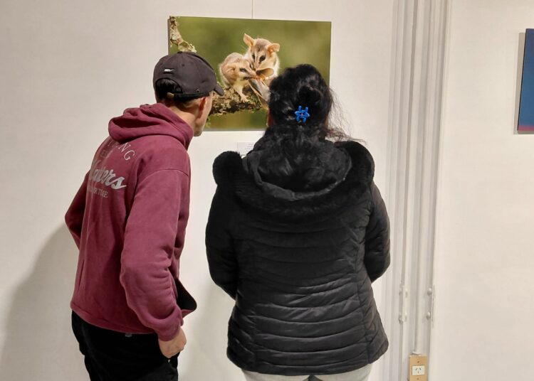 La mirada ambiental llega al lente: la Escuela de Sergio Massaro desembarca en el Museo Mulazzi con «Latidos de la tierra»