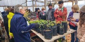 Soberanía alimentaria y saberes compartidos: se puso en marcha el programa de huertas «Sembrar Salud»