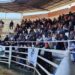La Reforma realizará su tradicional remate de otoño con 86 toros y destacadas condiciones de financiación