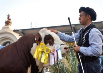 Informe especial desde Palermo: Horacio Mazzola mostró el pulso de la Exposición Rural para Radio 3 Continental