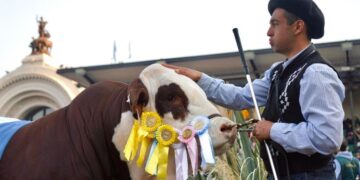 Informe especial desde Palermo: Horacio Mazzola mostró el pulso de la Exposición Rural para Radio 3 Continental
