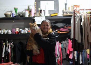 PACMA impulsa una rifa solidaria para construir un nuevo depósito de alimentos para los animales rescatados