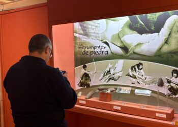 Patrimonio científico: un reconocido paleontólogo visitó el Museo Mulazzi y afirmó que Tres Arroyos tiene la colección «más importante de la provincia»