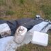 Higiene urbana: detectan por cámaras a un infractor arrojando basura en la vía pública y le labran una dura multa