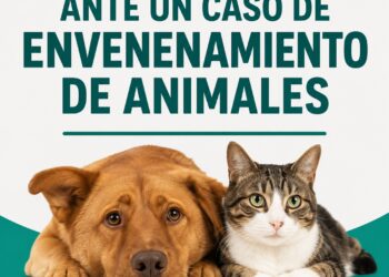 Alerta en Tres Arroyos: recomiendan cómo actuar ante sospechas de envenenamiento de animales