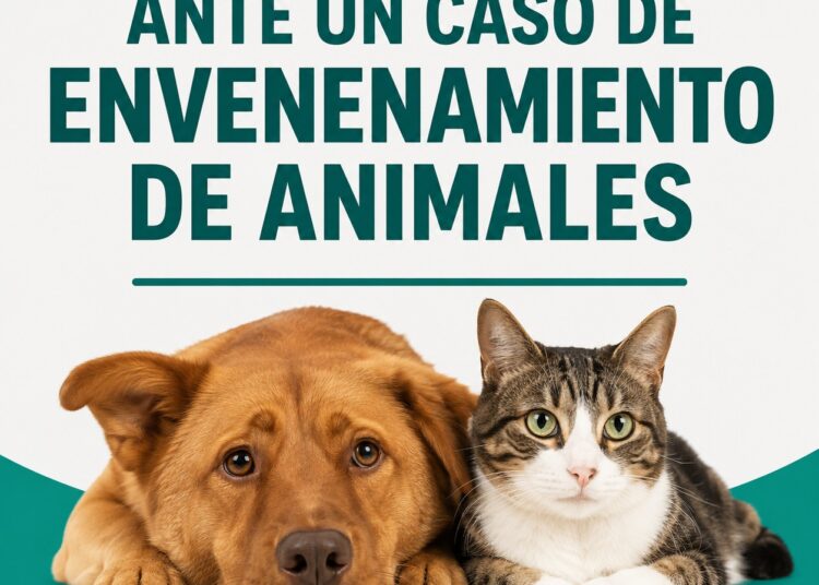 Alerta en Tres Arroyos: recomiendan cómo actuar ante sospechas de envenenamiento de animales
